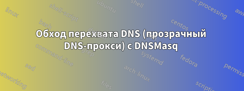 Обход перехвата DNS (прозрачный DNS-прокси) с DNSMasq