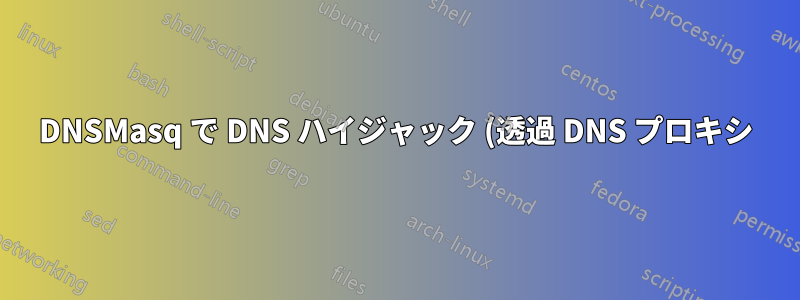 DNSMasq で DNS ハイジャック (透過 DNS プロキシ) を回避する