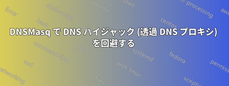 DNSMasq で DNS ハイジャック (透過 DNS プロキシ) を回避する