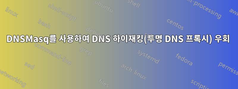 DNSMasq를 사용하여 DNS 하이재킹(투명 DNS 프록시) 우회