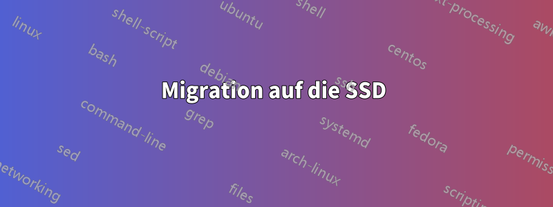 Migration auf die SSD