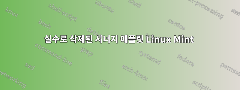 실수로 삭제된 시너지 애플릿 Linux Mint