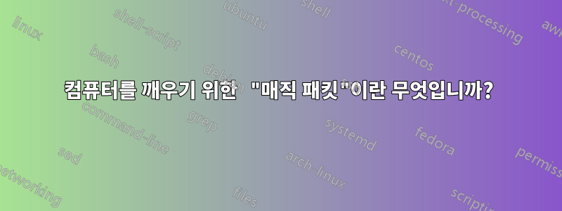 컴퓨터를 깨우기 위한 "매직 패킷"이란 무엇입니까?