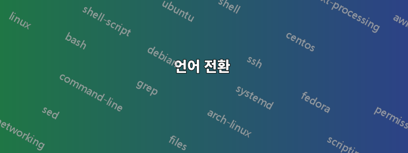 언어 전환