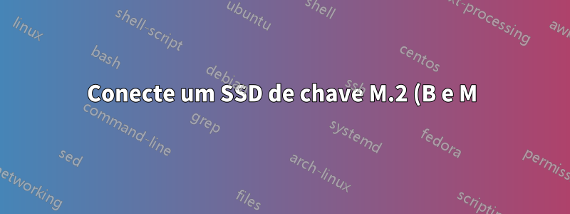 Conecte um SSD de chave M.2 (B e M) em um soquete B