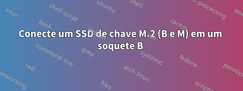 Conecte um SSD de chave M.2 (B e M) em um soquete B