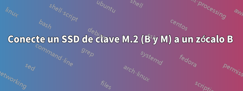 Conecte un SSD de clave M.2 (B y M) a un zócalo B