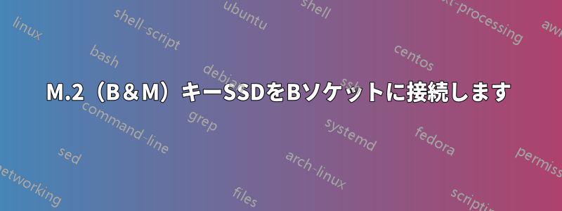 M.2（B＆M）キーSSDをBソケットに接続します