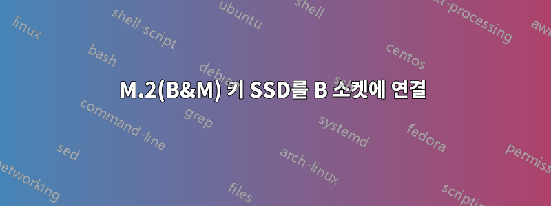 M.2(B&M) 키 SSD를 B 소켓에 연결