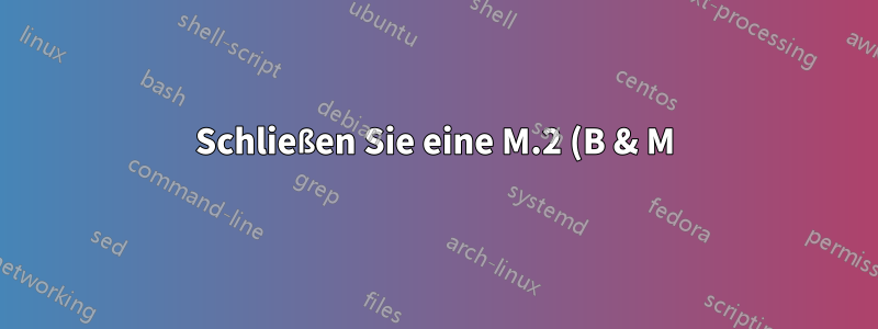 Schließen Sie eine M.2 (B & M)-Key-SSD an einen B-Sockel an