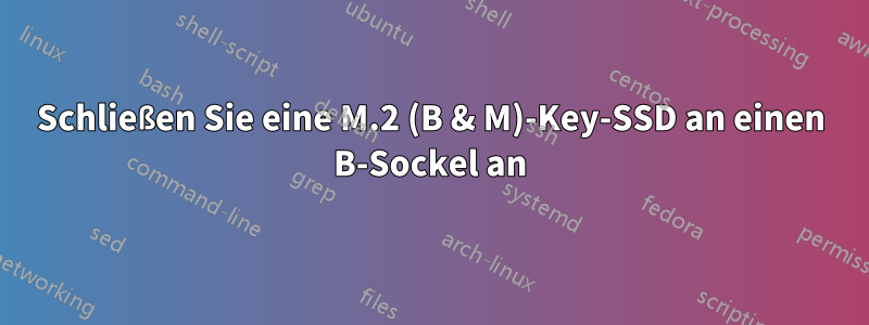 Schließen Sie eine M.2 (B & M)-Key-SSD an einen B-Sockel an