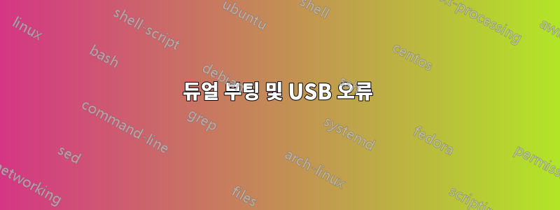 듀얼 부팅 및 USB 오류