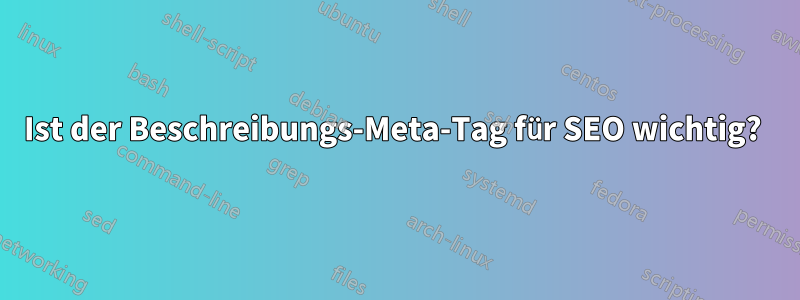 Ist der Beschreibungs-Meta-Tag für SEO wichtig? 