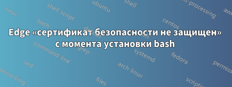 Edge «сертификат безопасности не защищен» с момента установки bash