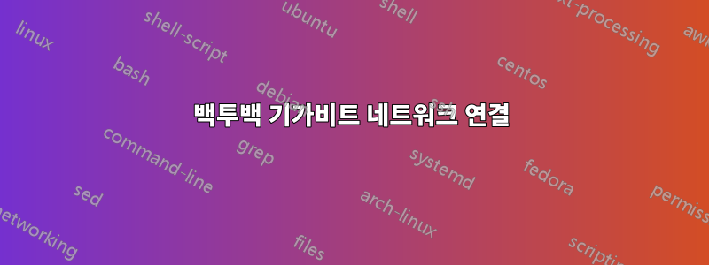 백투백 기가비트 네트워크 연결