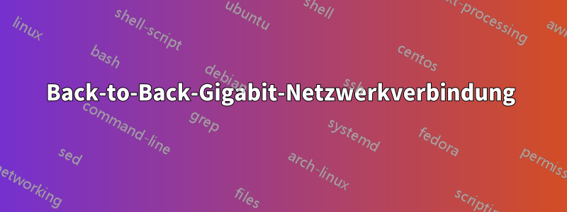 Back-to-Back-Gigabit-Netzwerkverbindung