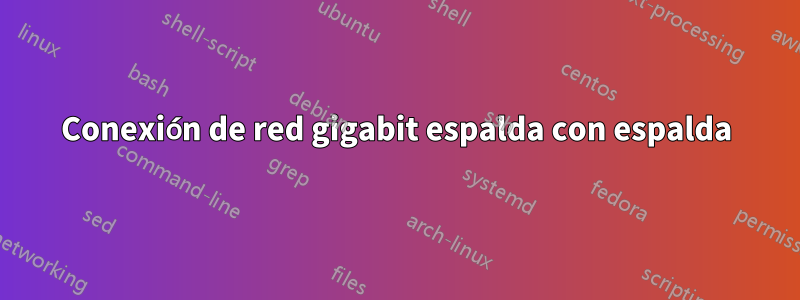 Conexión de red gigabit espalda con espalda