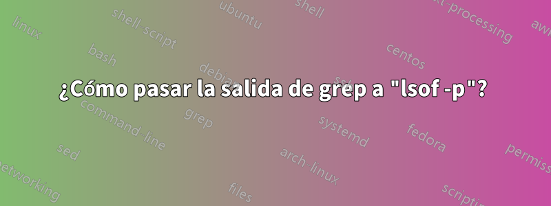 ¿Cómo pasar la salida de grep a "lsof -p"?