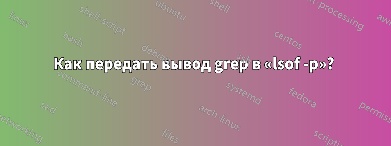 Как передать вывод grep в «lsof -p»?