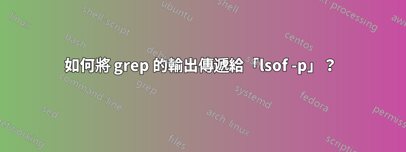 如何將 grep 的輸出傳遞給「lsof -p」？