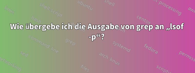 Wie übergebe ich die Ausgabe von grep an „lsof -p“?