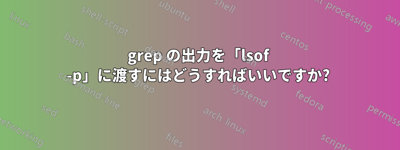 grep の出力を「lsof -p」に渡すにはどうすればいいですか?