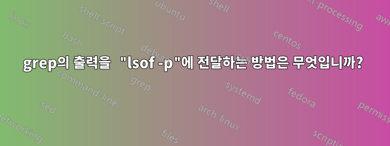 grep의 출력을 "lsof -p"에 전달하는 방법은 무엇입니까?