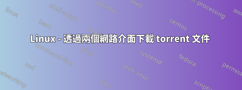 Linux - 透過兩個網路介面下載 torrent 文件