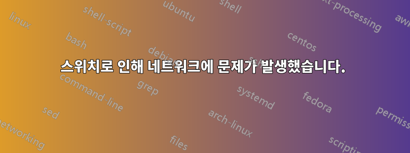 스위치로 인해 네트워크에 문제가 발생했습니다.