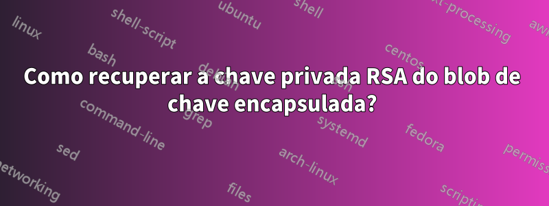 Como recuperar a chave privada RSA do blob de chave encapsulada?