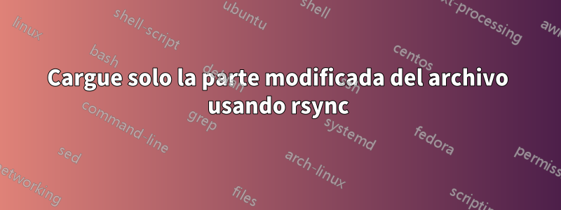 Cargue solo la parte modificada del archivo usando rsync