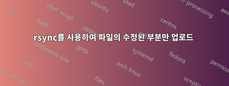 rsync를 사용하여 파일의 수정된 부분만 업로드