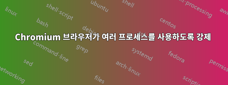Chromium 브라우저가 여러 프로세스를 사용하도록 강제
