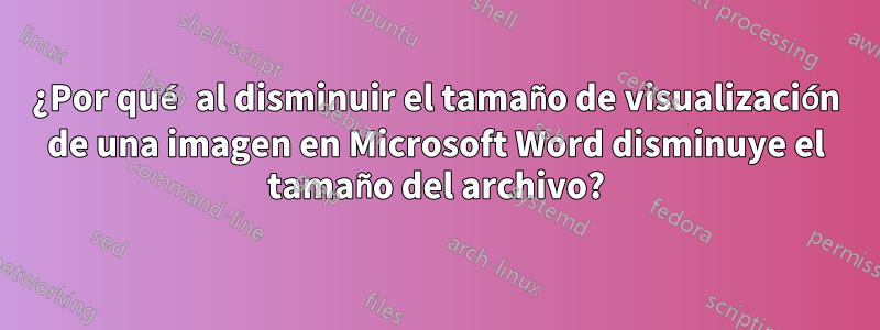 ¿Por qué al disminuir el tamaño de visualización de una imagen en Microsoft Word disminuye el tamaño del archivo?