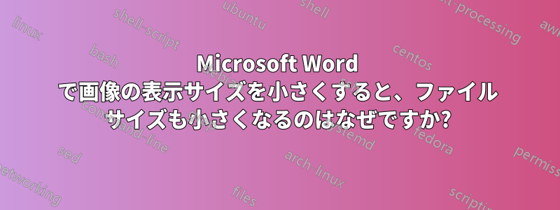Microsoft Word で画像の表示サイズを小さくすると、ファイル サイズも小さくなるのはなぜですか?