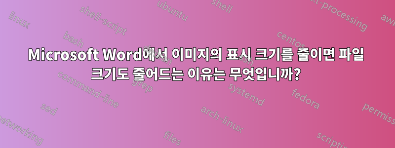 Microsoft Word에서 이미지의 표시 크기를 줄이면 파일 크기도 줄어드는 이유는 무엇입니까?