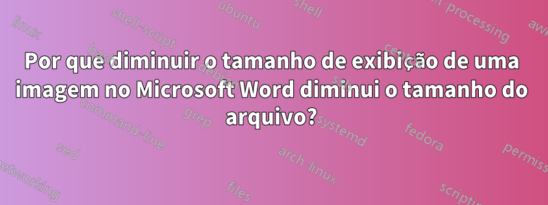 Por que diminuir o tamanho de exibição de uma imagem no Microsoft Word diminui o tamanho do arquivo?