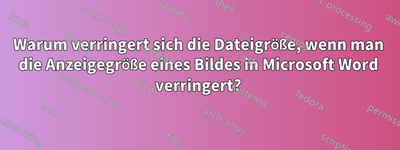 Warum verringert sich die Dateigröße, wenn man die Anzeigegröße eines Bildes in Microsoft Word verringert?