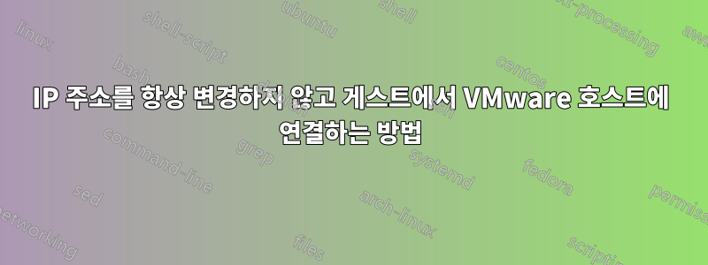 IP 주소를 항상 변경하지 않고 게스트에서 VMware 호스트에 연결하는 방법