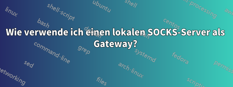 Wie verwende ich einen lokalen SOCKS-Server als Gateway?