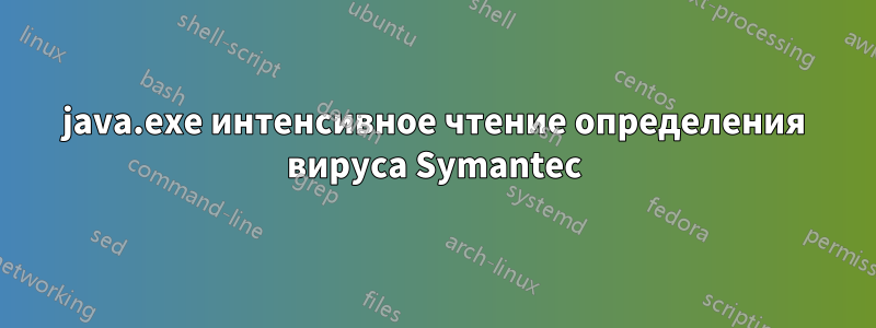 java.exe интенсивное чтение определения вируса Symantec