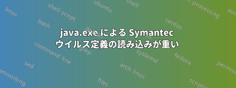 java.exe による Symantec ウイルス定義の読み込みが重い