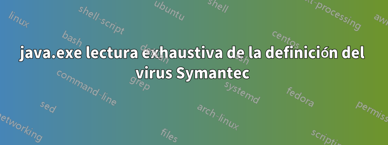 java.exe lectura exhaustiva de la definición del virus Symantec
