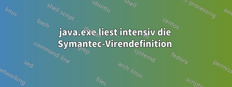 java.exe liest intensiv die Symantec-Virendefinition