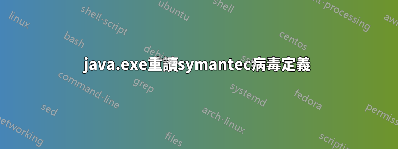 java.exe重讀symantec病毒定義