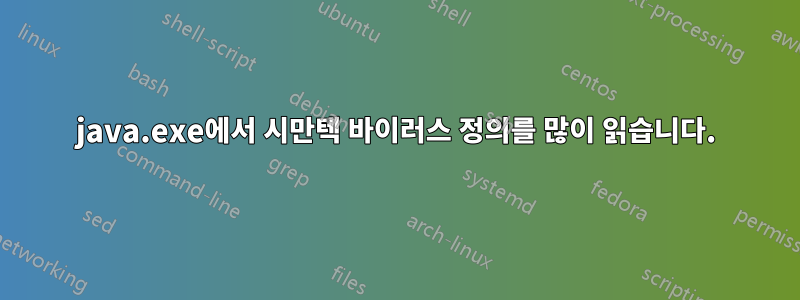 java.exe에서 시만텍 바이러스 정의를 많이 읽습니다.
