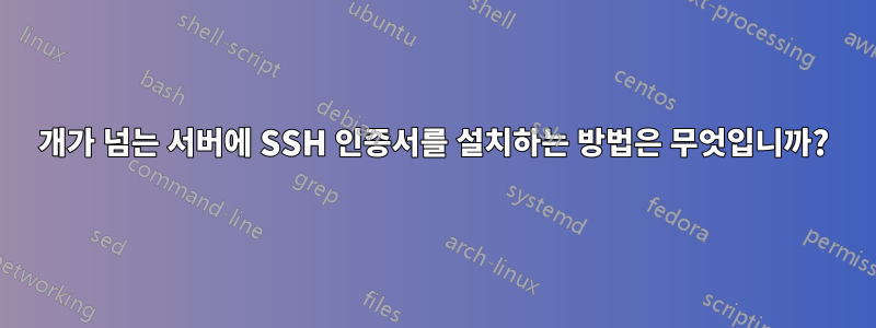 400개가 넘는 서버에 SSH 인증서를 설치하는 방법은 무엇입니까?