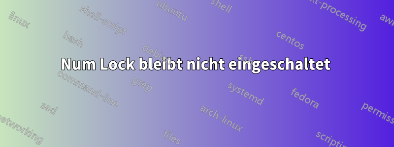 Num Lock bleibt nicht eingeschaltet