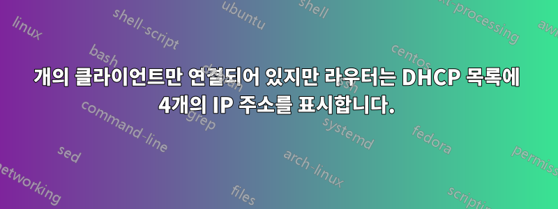 2개의 클라이언트만 연결되어 있지만 라우터는 DHCP 목록에 4개의 IP 주소를 표시합니다.