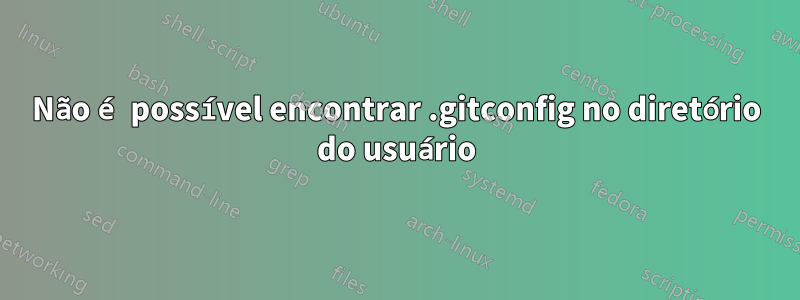 Não é possível encontrar .gitconfig no diretório do usuário